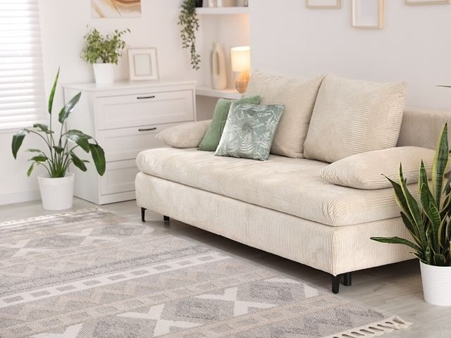 carpet-upholstery-cleaners-11-kireth-ai