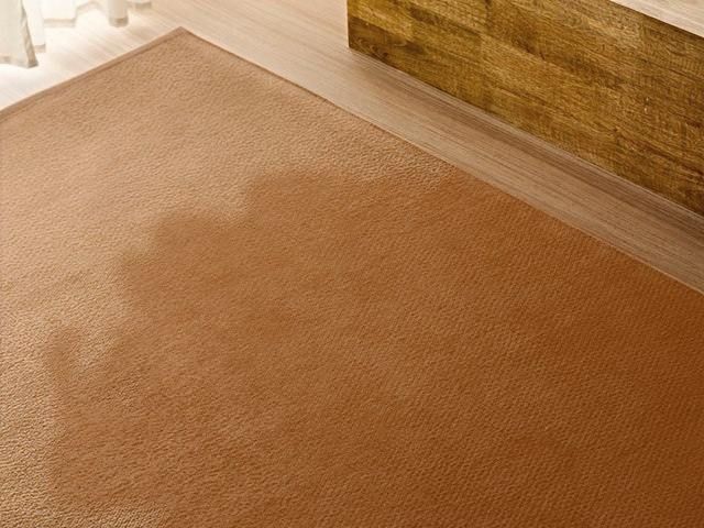 rug-cleaning-8-kireth-ai